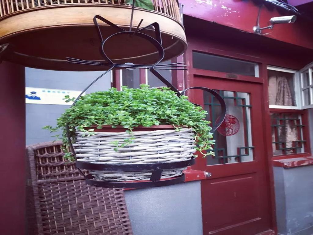 Three Legged Frog Hostel Pequim Exterior foto